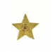 Петличный знак воинского различия ЗВЕЗДА, для генералов Красной Армии и войск НКВД, обр. 1940 г.. 